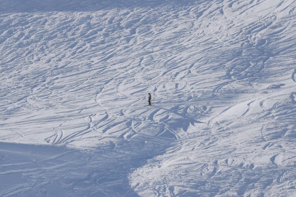 snow, winter, cold, ice, frozen, sun, nature, landscape
