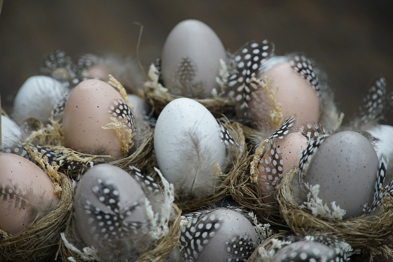 eggs, nest, feathers, decoration, easter