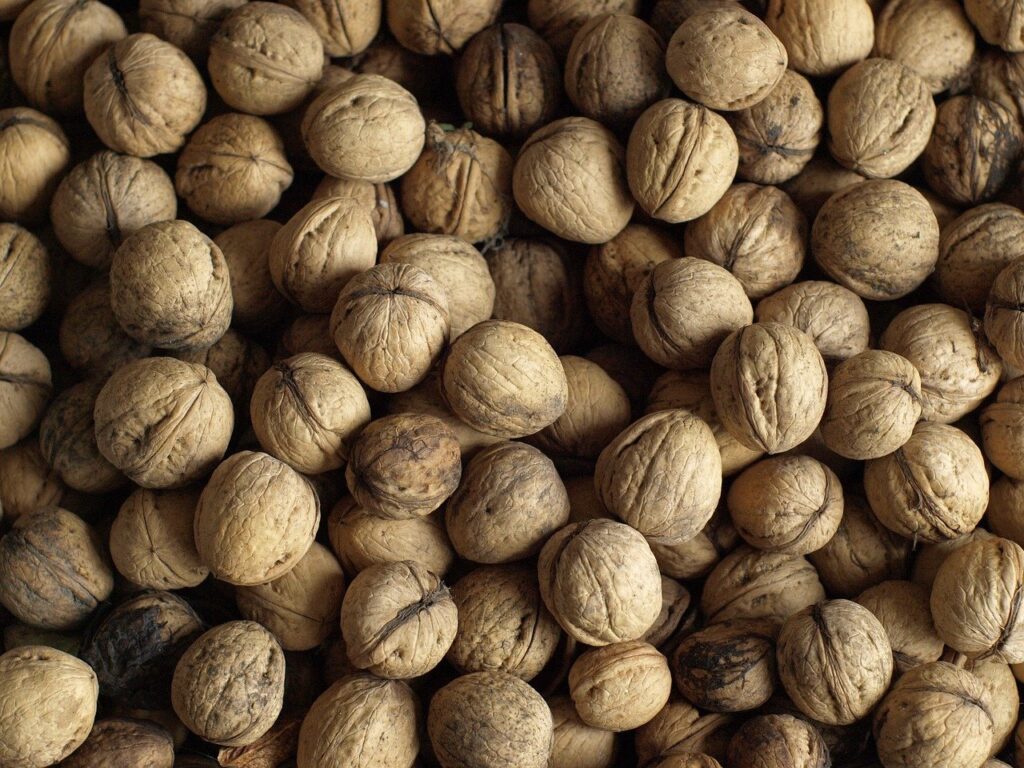 walnuts, greek nuts, nature wallpaper, nuts, wallpaper hd, full hd wallpaper, free wallpaper, nature background, beautiful wallpaper, free background, food, nature, 4k wallpaper, 4k wallpaper 1920x1080, laptop wallpaper, wallpaper, cool backgrounds, beautiful nature, mac wallpaper, hd wallpaper, wallpaper 4k, windows wallpaper, desktop backgrounds, background