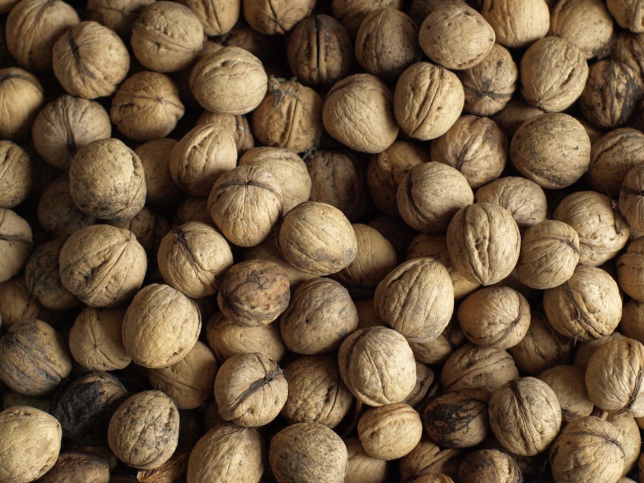 walnuts, greek nuts, nature wallpaper, nuts, wallpaper hd, full hd wallpaper, free wallpaper, nature background, beautiful wallpaper, free background, food, nature, 4k wallpaper, 4k wallpaper 1920x1080, laptop wallpaper, wallpaper, cool backgrounds, beautiful nature, mac wallpaper, hd wallpaper, wallpaper 4k, windows wallpaper, desktop backgrounds, background