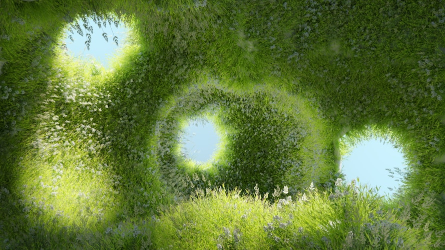 A picture of a group of green plants