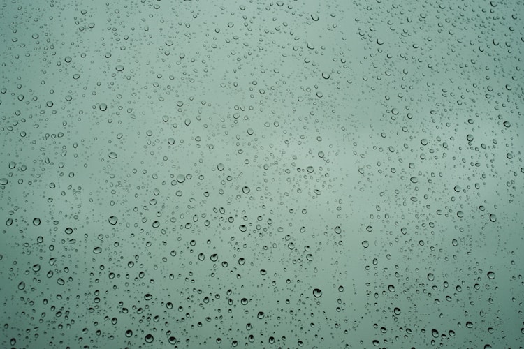 Rain drops on the glass of a window