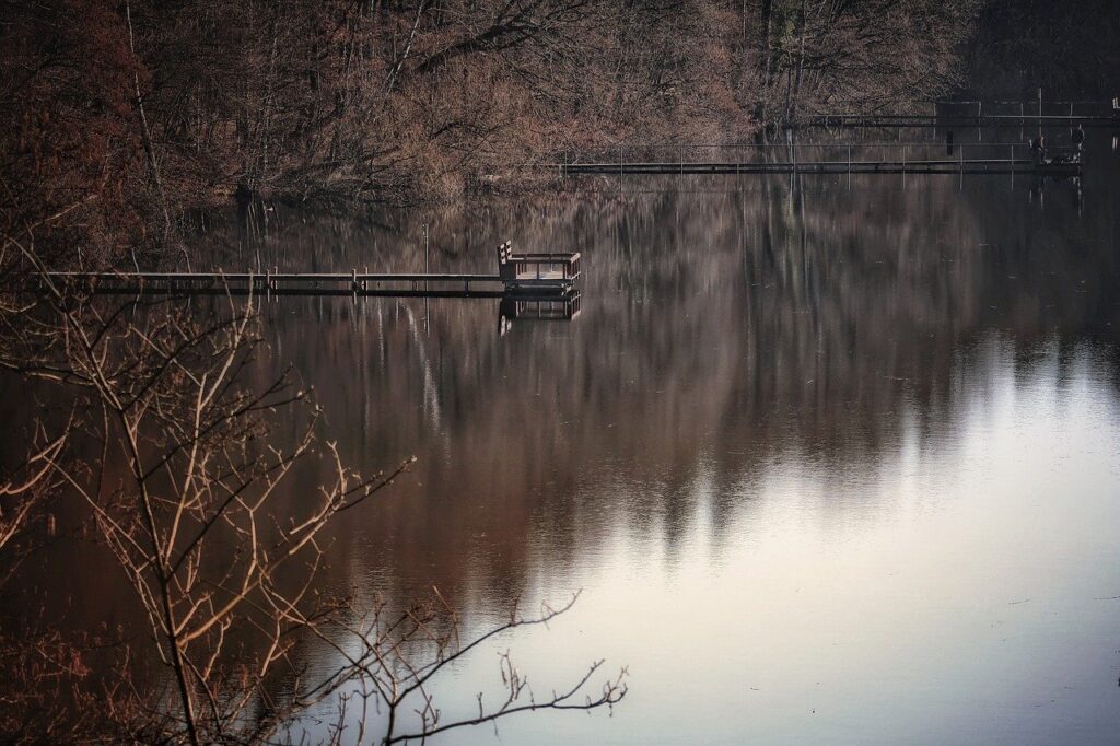 lake, forest, dock, tree, landscape, nature