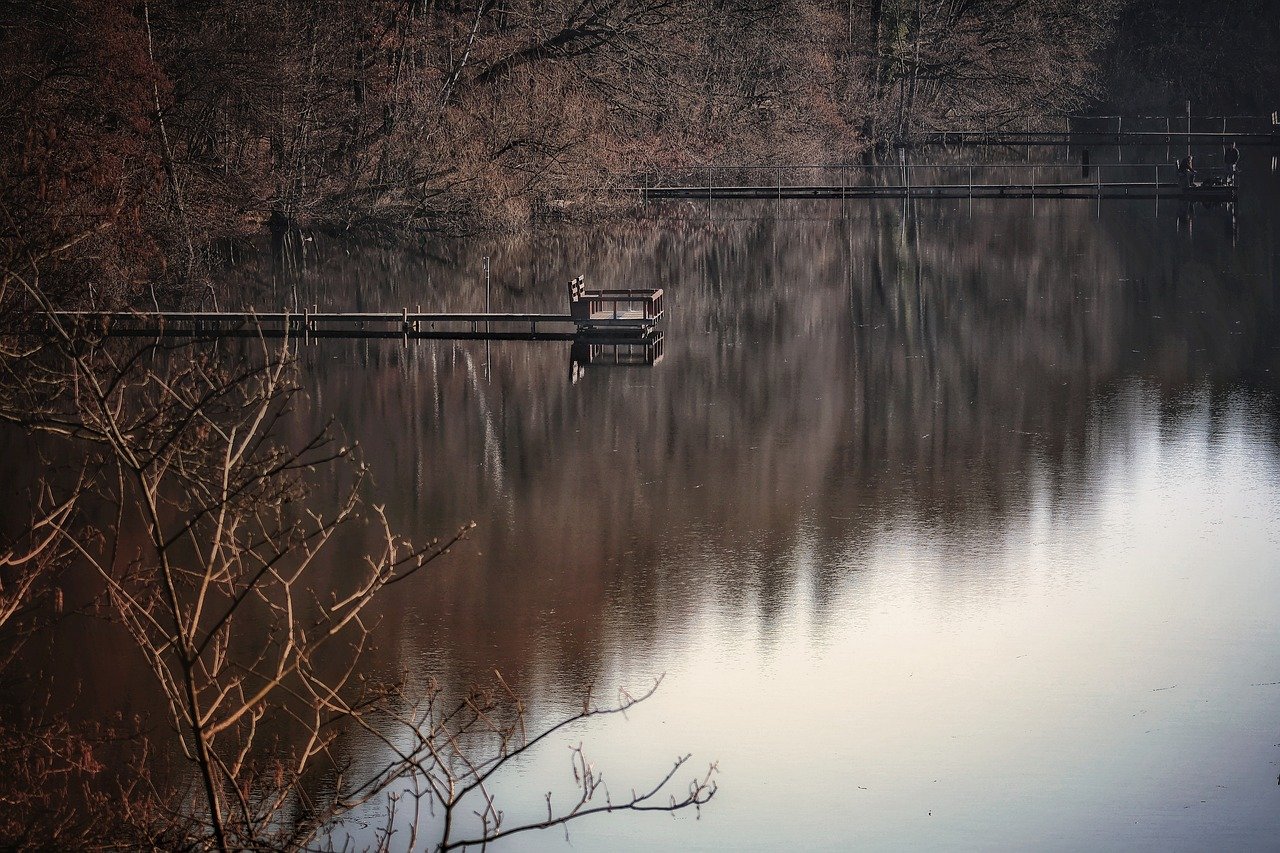 lake, forest, dock, tree, landscape, nature