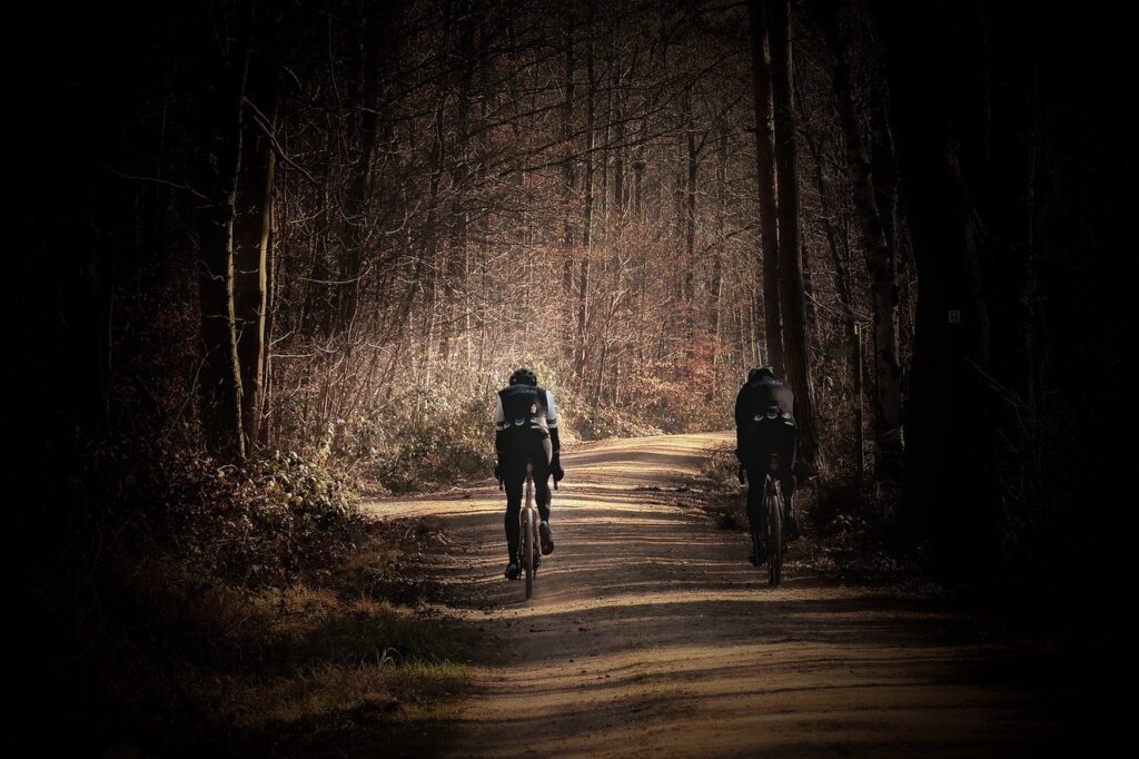 cyclist, forest, forest path, sports, cycling, sunrise, nature