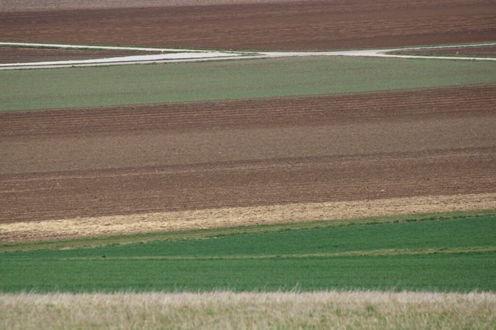 field, meadow, landscape, rural, crossing, background, template, lines