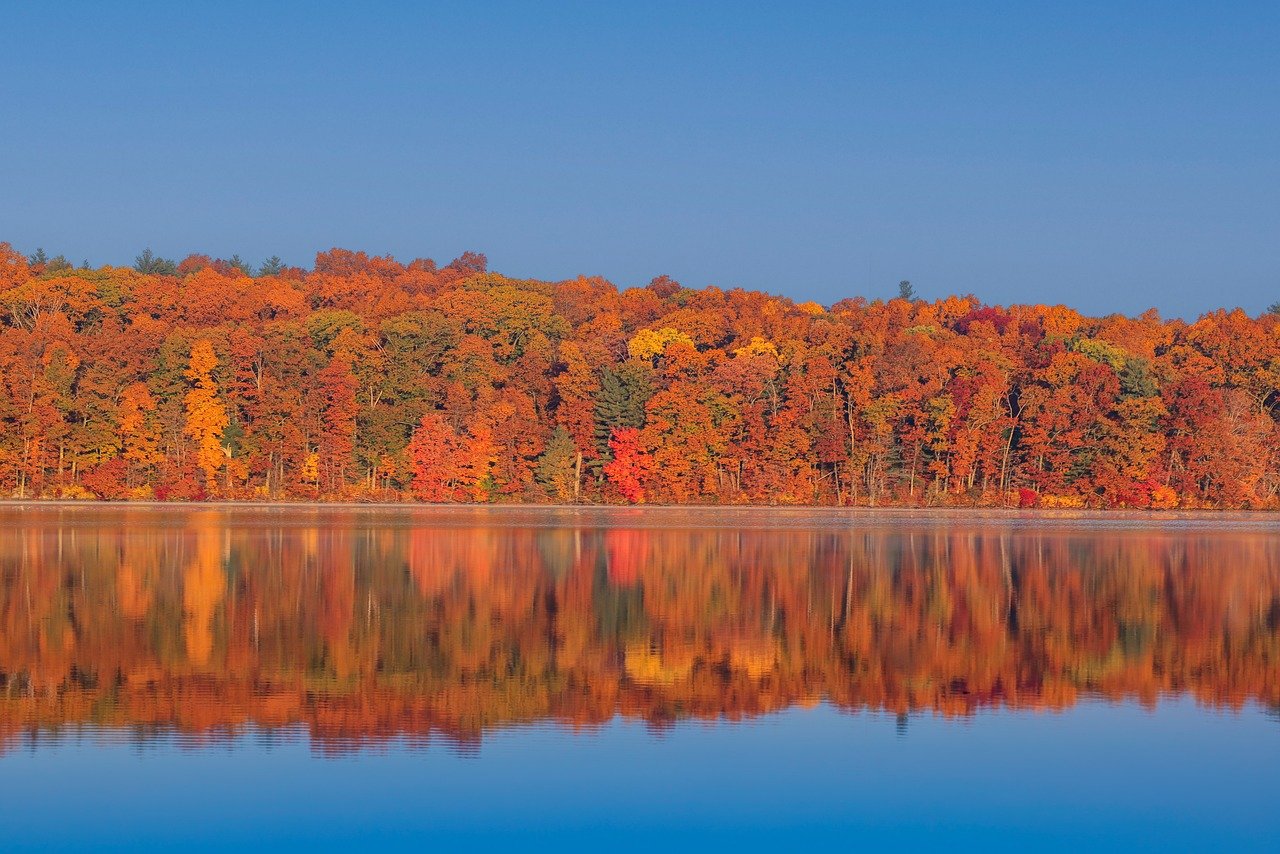 hd, wallpaper, nature, wallpaper 4k, landscape, nature wallpaper, nature background, desktop backgrounds, windows wallpaper, beautiful wallpaper, 4k wallpaper, wallpaper hd, autumn, laptop wallpaper, hd wallpaper, beautiful nature, fall, 4k wallpaper 1920x1080, cool backgrounds, free wallpaper, trees, mac wallpaper, sunset, woods, free background, full hd wallpaper, water, reflections