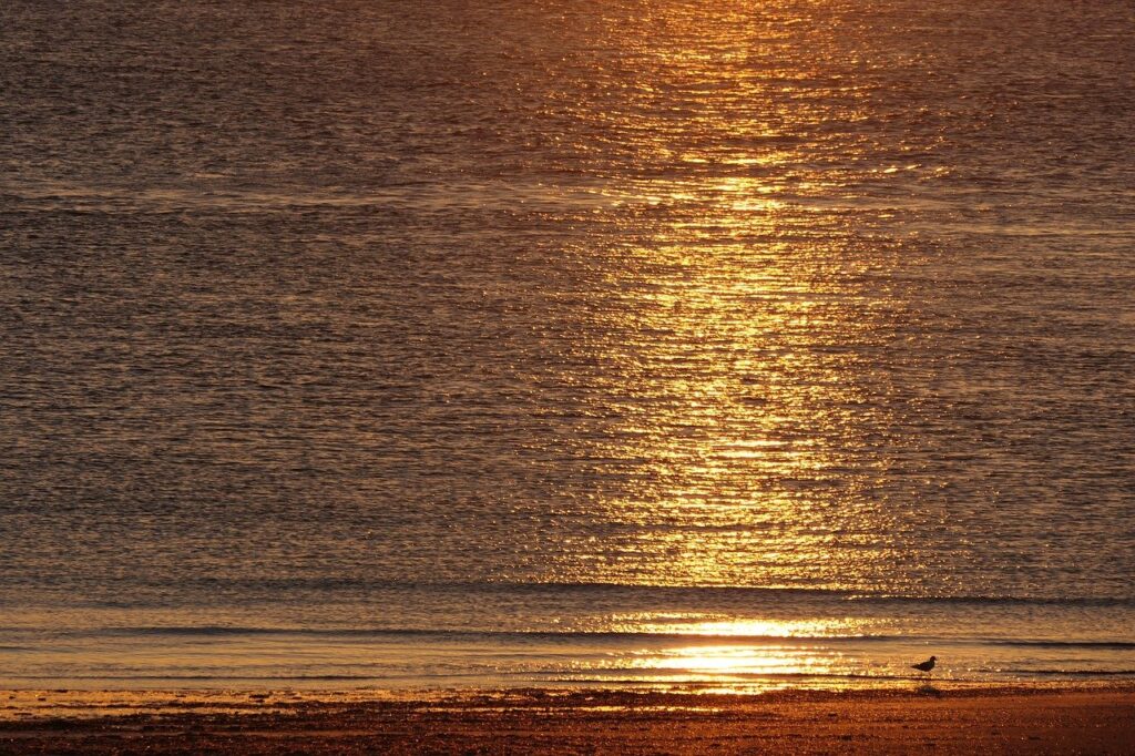 north sea, sea, sunset, gull, orange, mood, nature, lake, island, norderney, beach, coast, heaven, sand, beach chair, landscape, germany, maritime, summer, sun, sandy beach