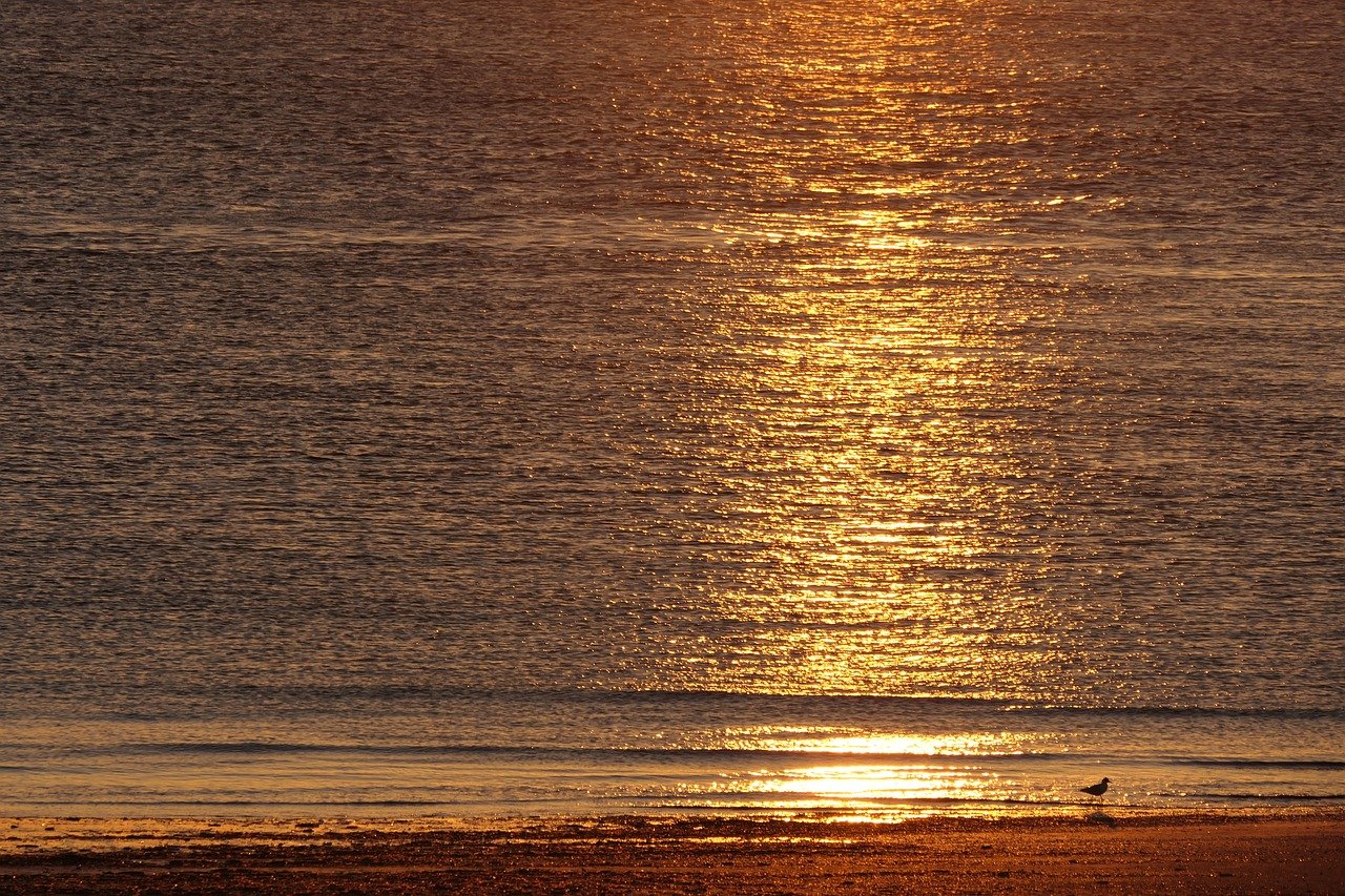 north sea, sea, sunset, gull, orange, mood, nature, lake, island, norderney, beach, coast, heaven, sand, beach chair, landscape, germany, maritime, summer, sun, sandy beach