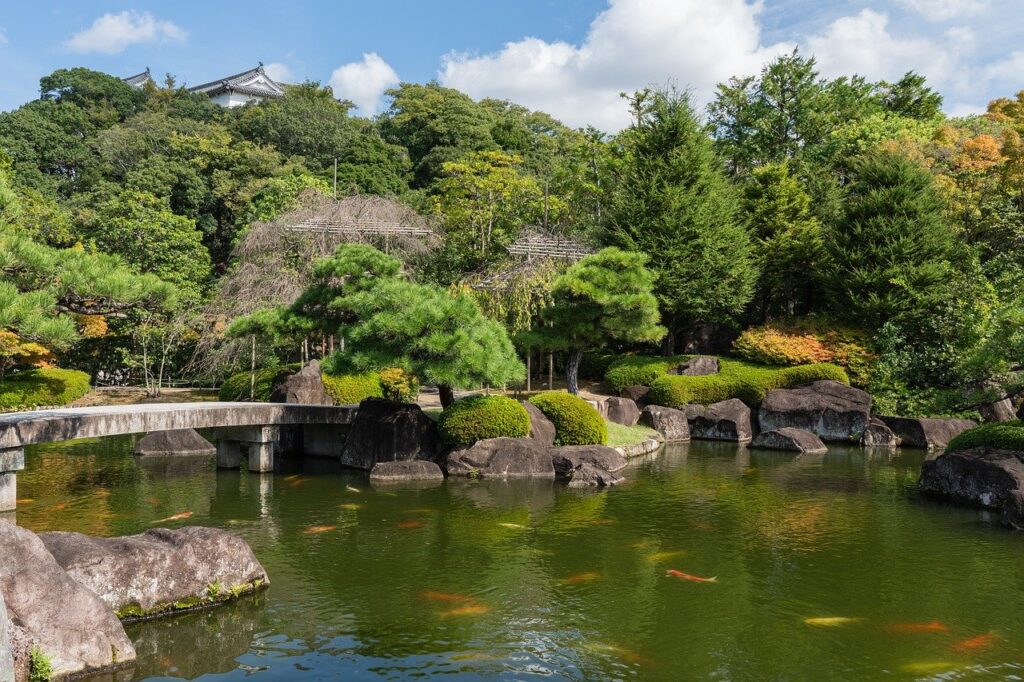 koko-en garden, nature, japanese landscape garden, japanese gardening, himeji, japan, garden park, pond, koi, quiet, relaxation, water