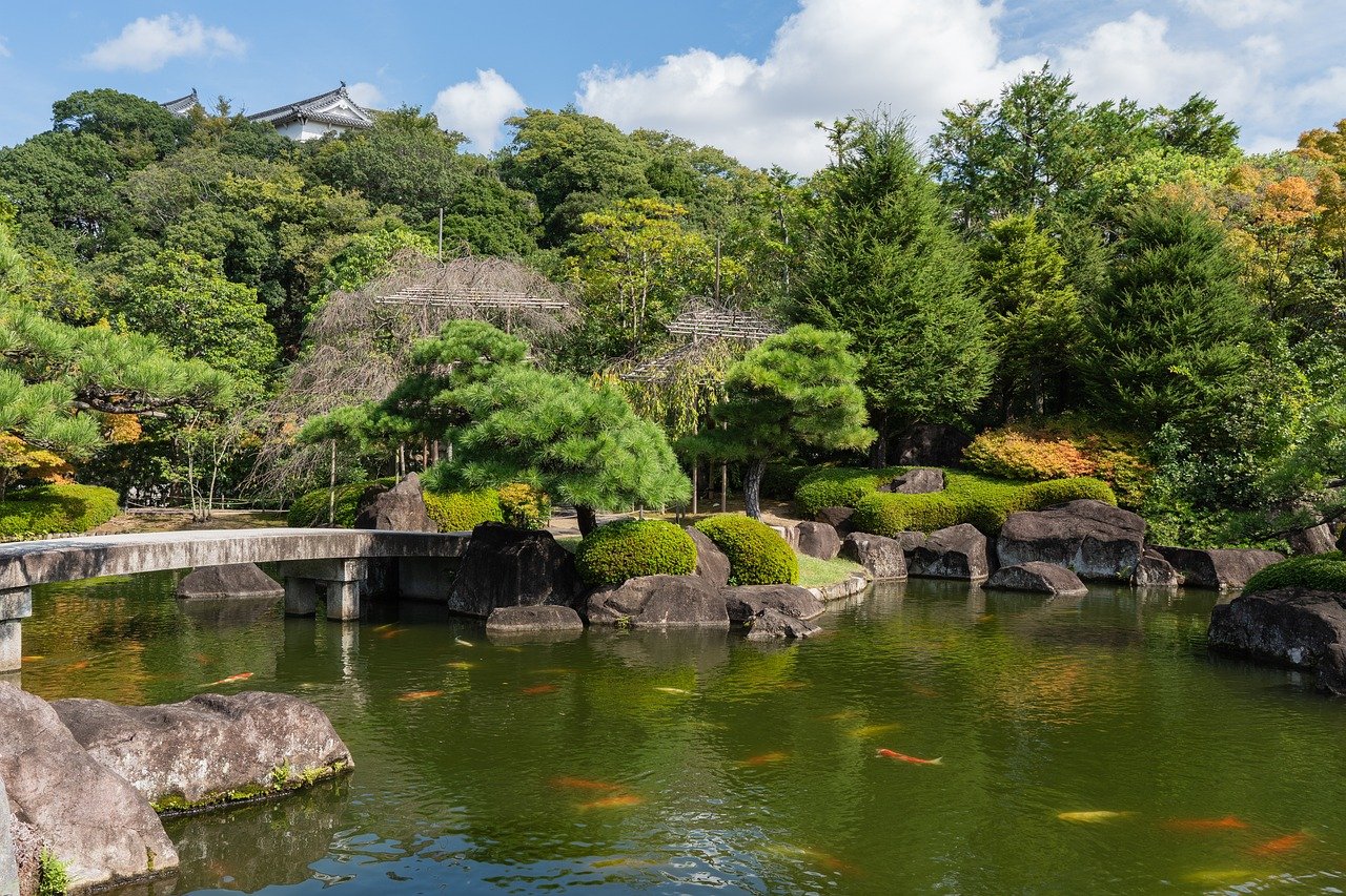 koko-en garden, nature, japanese landscape garden, japanese gardening, himeji, japan, garden park, pond, koi, quiet, relaxation, water