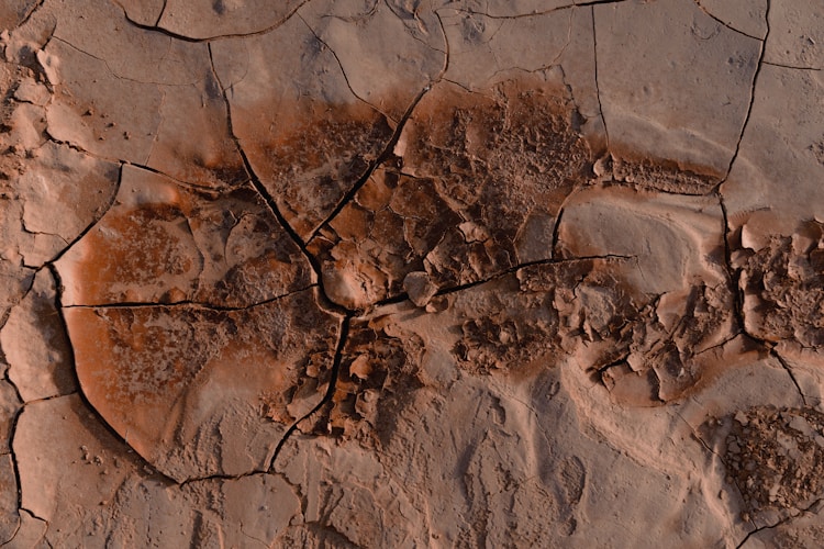Cracked, dried earth displays its texture.