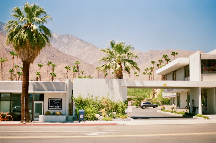 A stylish motel and palm trees on a sunny day.