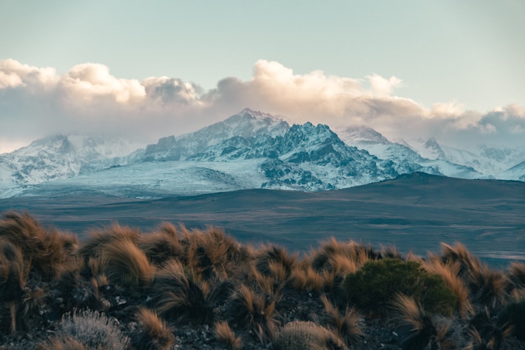 Snow-capped mountains rise above a grassy landscape.