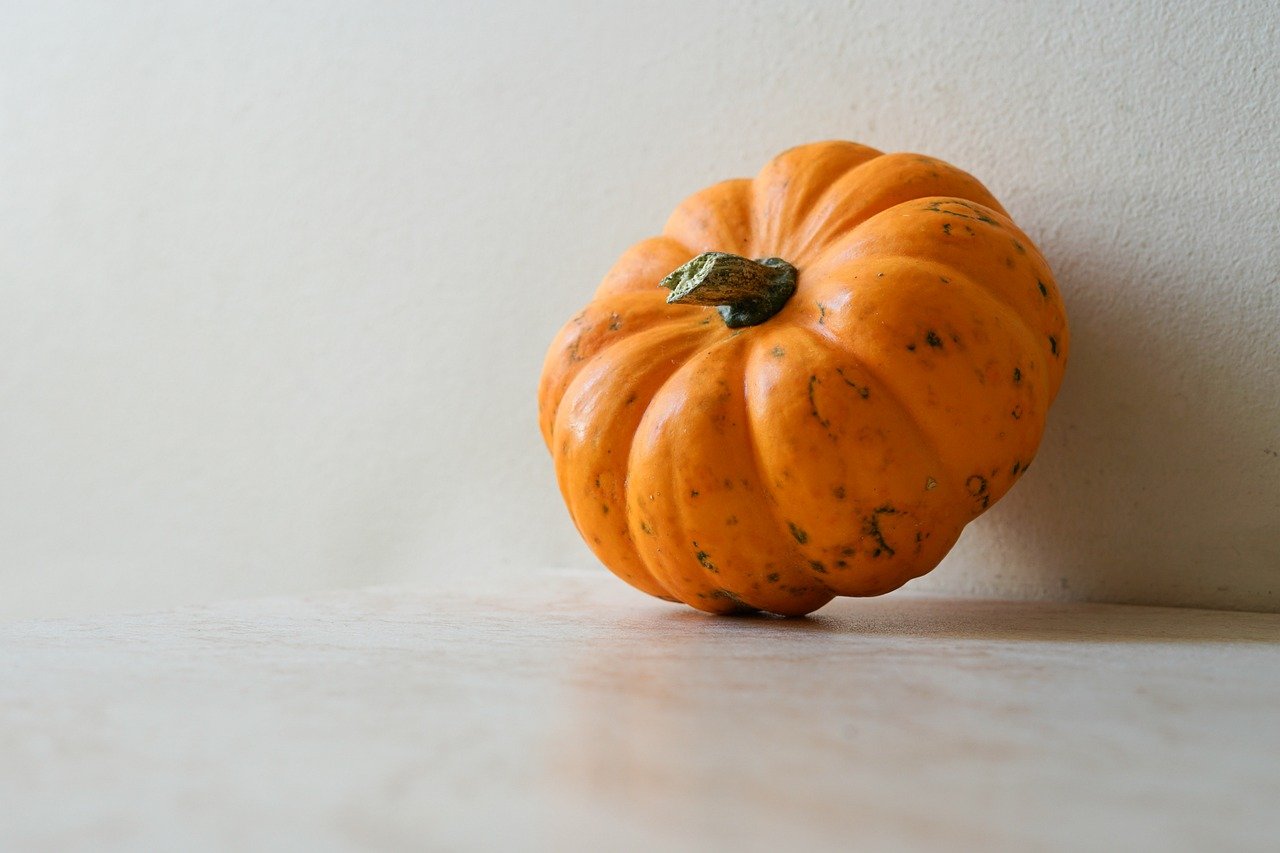 autumn, pumpkin, fall, halloween, vegetables, season, october