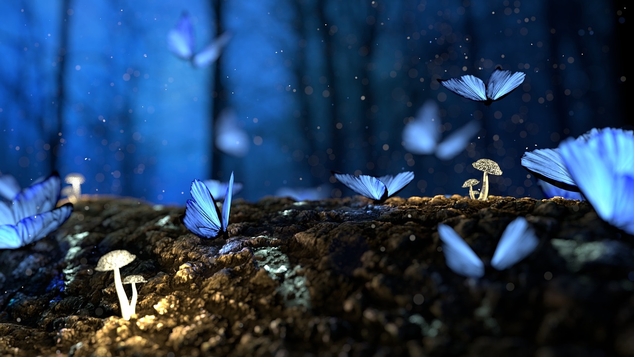 fantasy, butterflies, mushrooms, forest, insects, toadstools, wood, magical, fairytale, dream, nature, bokeh, nature wallpaper, zoom background, forest, nature, nature, nature, nature, nature