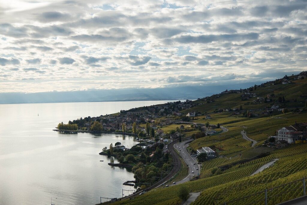 switzerland, landscape, nature, mountain, vines, vineyard, town, lausanne, agriculture, viticulture, wine, travel, inspiration, lake, lake geneva