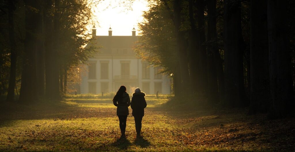 autumn, forrest, sunrise, walking in nature, nature, the netherlands, sunshine