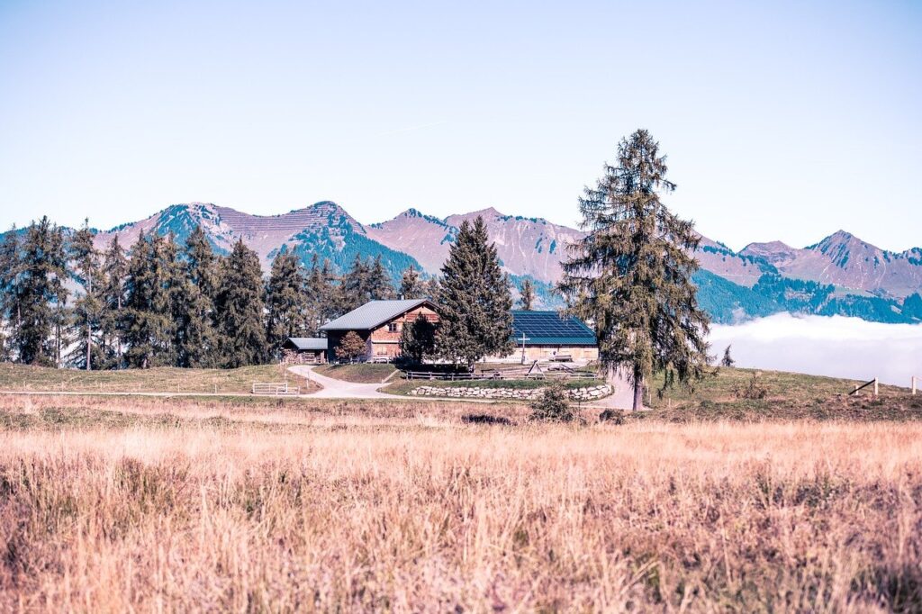 landscape, fall, nature, alm, austria, vorarlberg, alpe rona, mountains, outlook