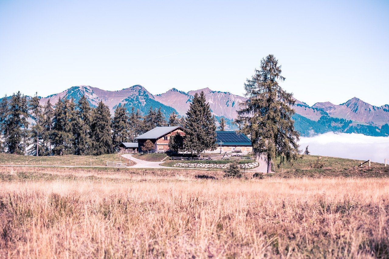 landscape, fall, nature, alm, austria, vorarlberg, alpe rona, mountains, outlook