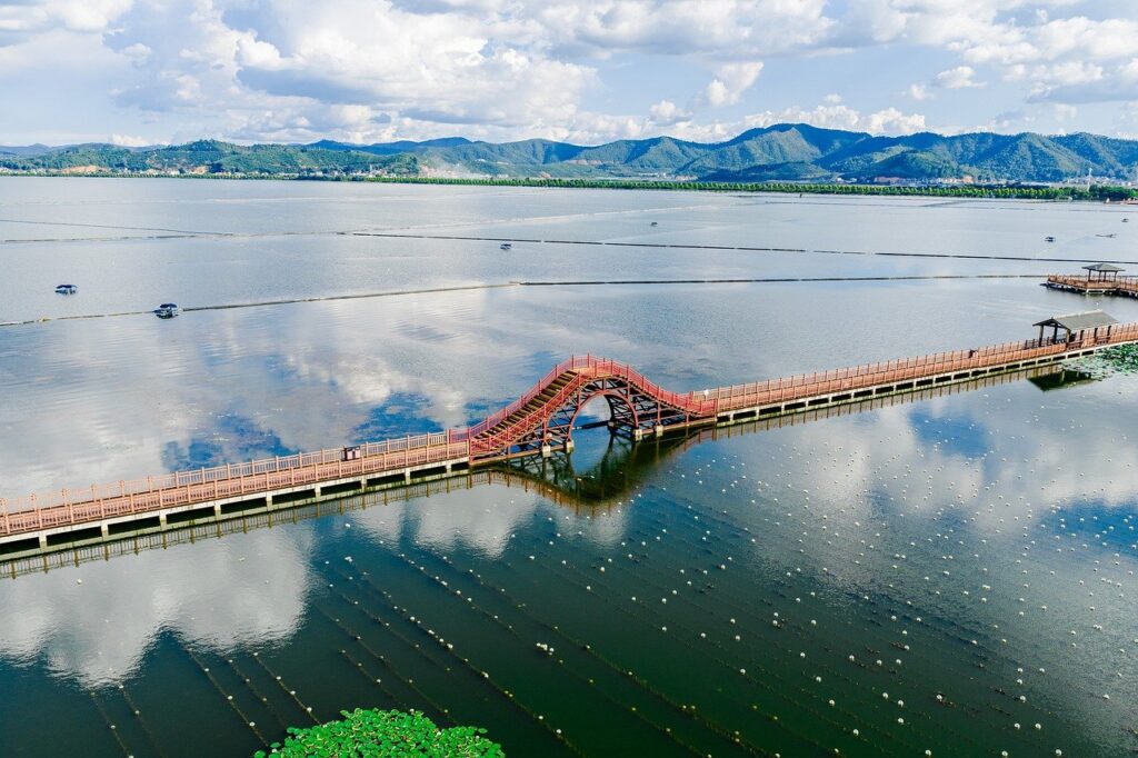 aerial, lake, bridge, boat, nature, landscape, summer, water, field, architecture, swamp, wetland