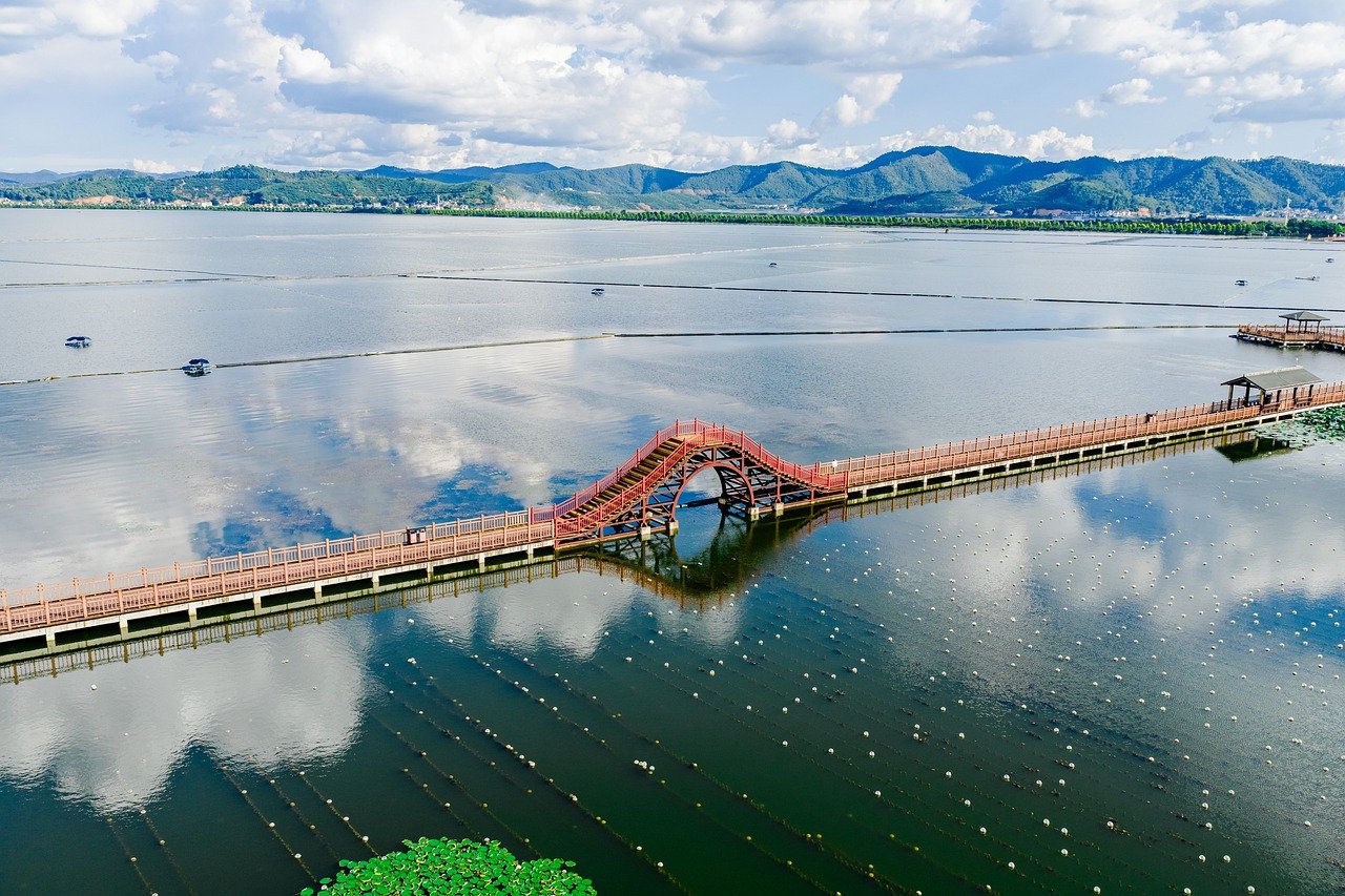aerial, lake, bridge, boat, nature, landscape, summer, water, field, architecture, swamp, wetland