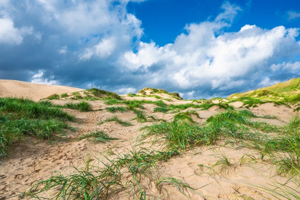 dune, sand, desert, nature, landscape, dry, to travel, hot, outdoors, sand dune, heaven, grass, green, summer