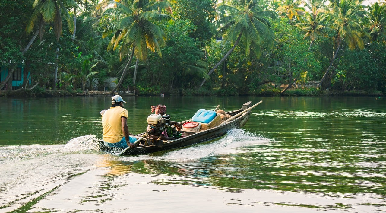 boat, nature, lake, water, sailing, kerala, india, backwaters, green, forest, tropical